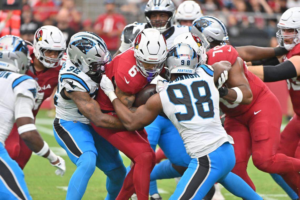 Carolina Panthers vs Arizona Cardinals Match Player Stats